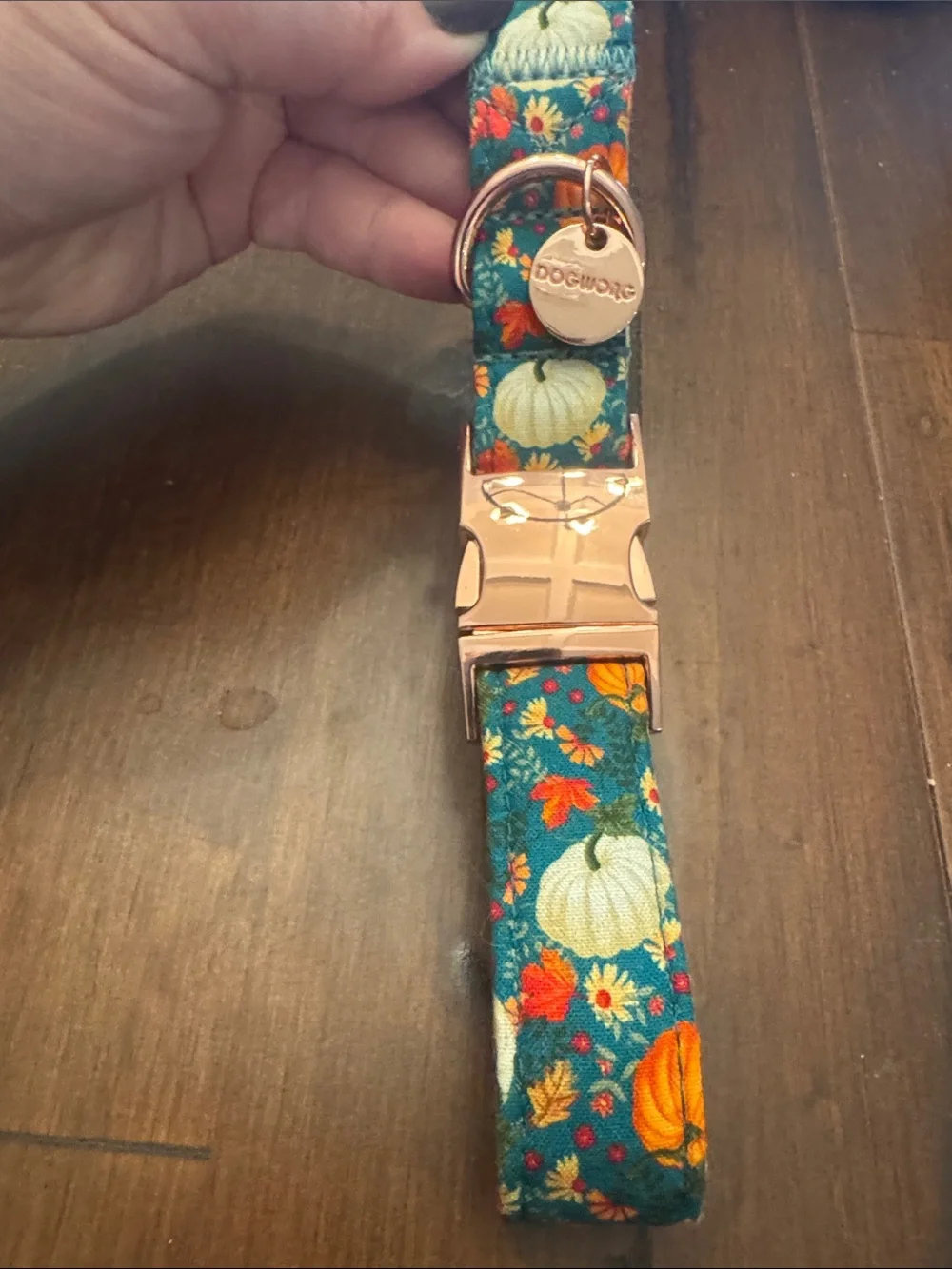 Brand New Dogwood Fall Dog Collar - teal with pumpkins and removable bow tie